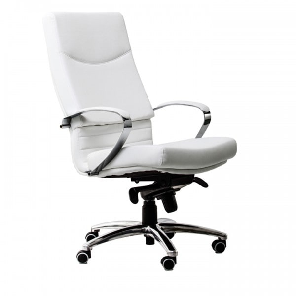 Scaun directorial 5600 ECO