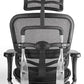 Scaun directorial ERGOHUMAN PDH