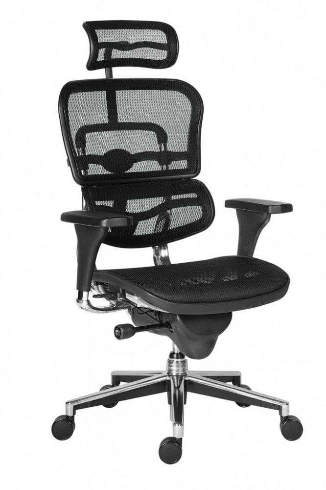 Scaun directorial ERGOHUMAN PDH