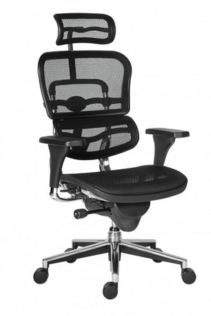 Scaun directorial ERGOHUMAN PDH