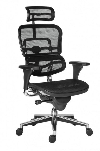 Scaun directorial ERGOHUMAN PDH